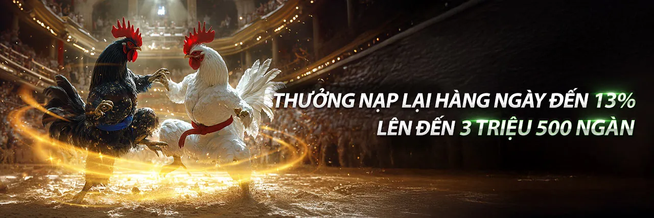 Tổng quan các môn thể thao đa dạng tại 88nn nổ hũ